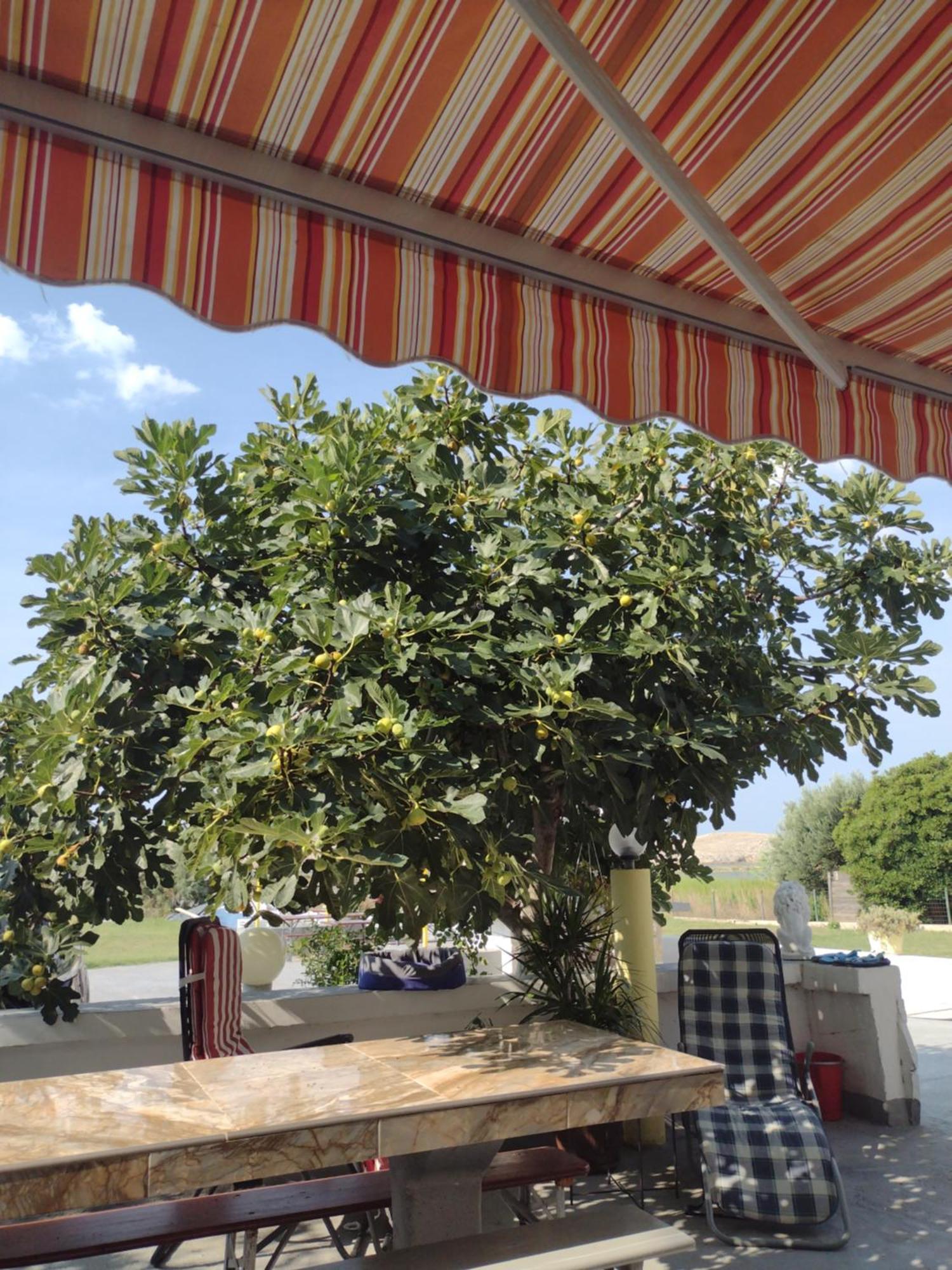 Apartmani Alen Dinjiška Exterior foto